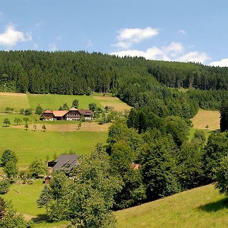 Riehle Hof Apartment Цел ам Хармерсбах Екстериор снимка