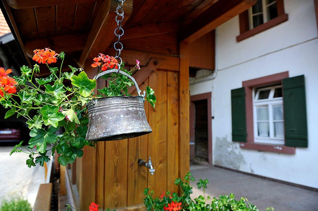 Riehle Hof Apartment Цел ам Хармерсбах Екстериор снимка